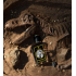 30 ml Остаток во флаконе Zoologist Perfumes Tyrannosaurus Rex